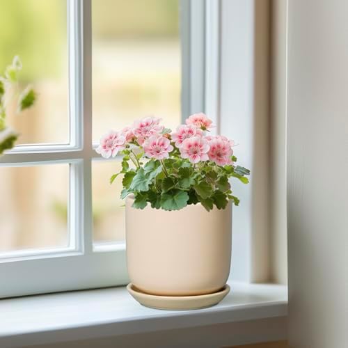 Ceramic Flower Pot 5 Inch - Round Succulent Planter for Indoor Plants with Drainage Hole and Saucer, Patio Room House Office Home Decor, Yellow - Image 6