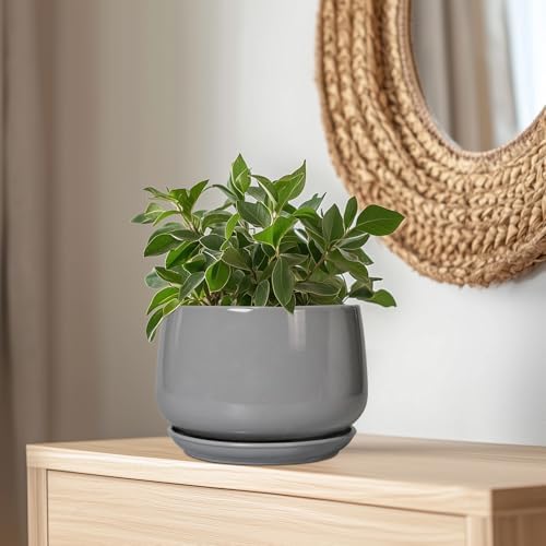 G EPGardening Ceramic Plant Pots, 9 Inch Planter, Gray - Image 6