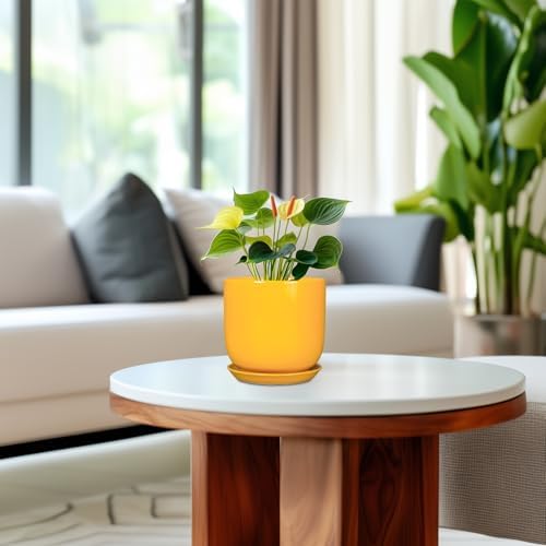 Plant Pot 5 Inch - Modern Round Indoor Ceramic Planter with Drainage Hole and Tray for Succulent Cactus Herbs Plants, Home House Garden Office Decor, Yellow - Image 4