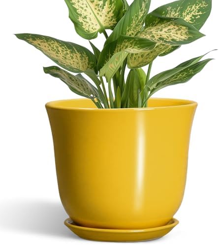 Ceramic Plant Pots - 5.6 Inch Planter with Drainage Hole and Saucer, Round Small Plant Pot for Indoor Outdoor, Modern Flower Succulent Orchid Pot, Desk Decor, Plant Lover Gifts, Yellow by SUNPOTFOR