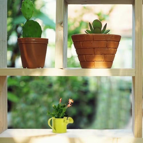 Mini Watering Can for Plants Indoor Outdoor, Decorative Metal Flower Watering Pail with Handle, Long Spout Small Spray Pot for Succulent Gardening - Image 6