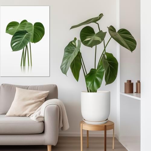 Plant Pot 12 inch - Ceramic Pot for Plants Indoor Outdoor Large Planter Pot with Drainage Hole and Saucer Mid-Century Modern Flower Pot Cylinder White - Image 5