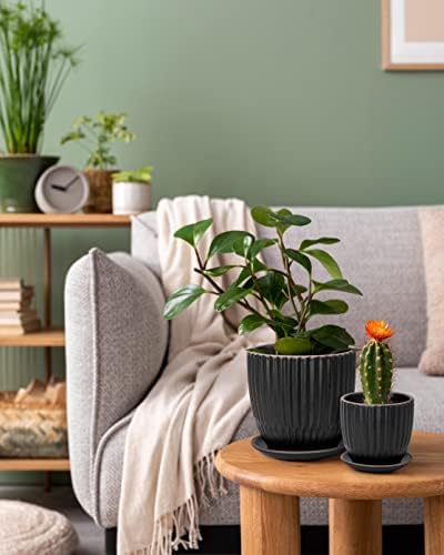 D'vine Dev 2-Pack Stoneware Planter Pots, 4.5/5.8 in, Black, 99-D-2 - Image 5