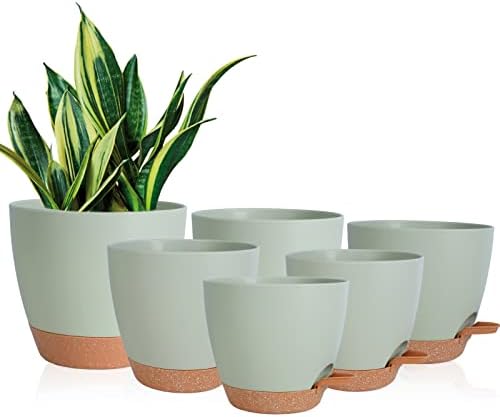 Vanslogreen Planters for Indoor Plants, 8/7/6.5/6/5.5/5 Inch Self Watering Planters with Drainage Hole, Plastic Planters Flower Pots for Indoor Outdoor Plants (Green) by Vanslogreen