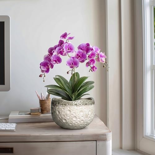 Ceramic Flower Pots - 8 Inch Plant Pots for Indoor Outdoor, Unique Round Planter with Drainage Hole and Plug, Decorative Ceramic Planter, Room Decor, House Warming Gifts, Beige-Grey - Image 5