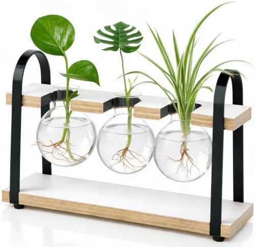 3-Bulb Plant Propagation Station, Glass Vase Terrarium, Retro White by THYGIFTREE