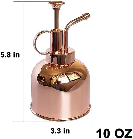 Plant Mister Spray Bottle Stainless Steel Plant Sprayer, Small Watering can Plant Spray Bottle Modern Gardening Tools for Indoor Potted Plants Watering and Spraying - Image 2