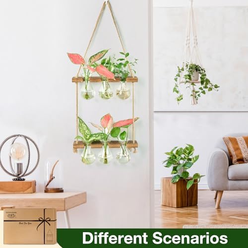 XXXFLOWER Wall Hanging Propagation Station 3 Bulb Vase 2 Tiers Brown - Image 4