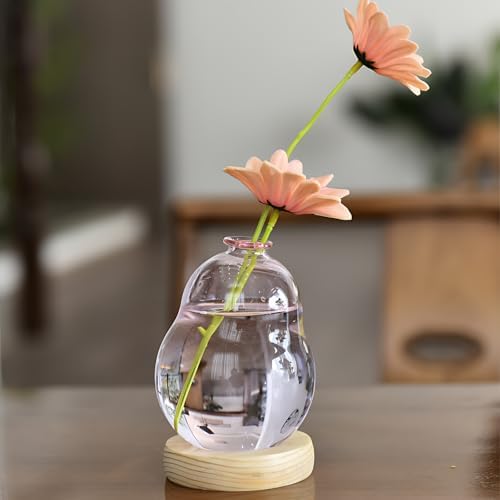 Pink Plant Propagation Cute Bubble Flower Vase Glass Planter Terrarium Jar by HymoConn