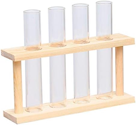 Test Glass Planter Propagation Stand Holder Vase Set with Minimalist Wood Frame and Clear Tubes Suitable for Room Bedroom, Beige by Unknown