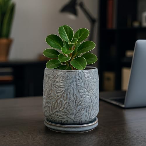 D'vine Dev Embossed Leaves Ceramic Planter, 4 in, Graphite Blue, 27-A-Z-9 - Image 6