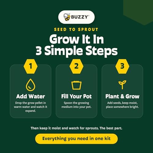 Buzzy Seeds Spruce Christmas Tree Grow Kit, Galvanized Basin Planter - Image 5