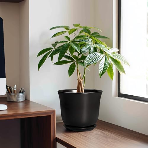 8 Inch Plant Pot - Ceramic Pots for Plants with Drainage Hole and Saucer, Round Planter for Indoor Outdoor, Modern Flower Pot, Gifts for Plant Lovers, Home Room Garden Porch Decor, Black - Image 3