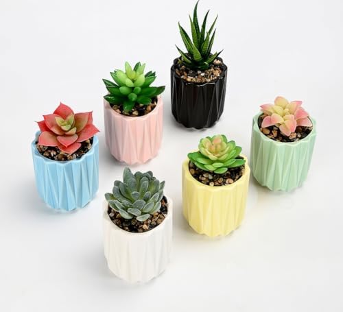 Cuteforyou Modern Textured Ceramic Succulent Planter Pot – 6 Color Options (No Plant Included) – Perfect for Small Plants, Cacti & Desk Decor – Lightweight & Durable (White, 3.5'' Tall) - Image 4