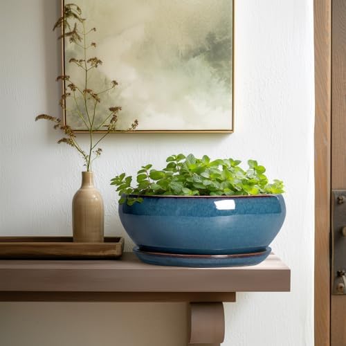 SQOWL Bonsai Pots 10 Inch, Large Ceramic Succulent Pots with Saucer, Blue - Image 6