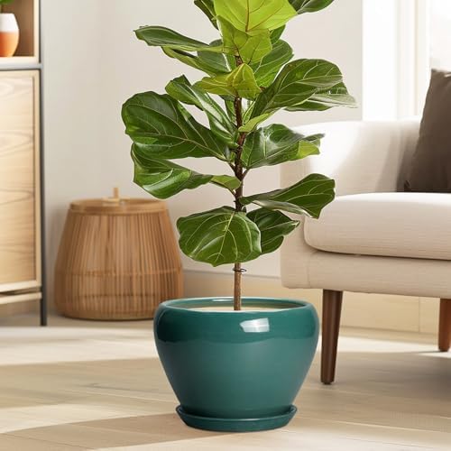 Ceramicfor 8 Inch Plant Pot - Ceramic Planter for Indoor Plants, Green - Image 2