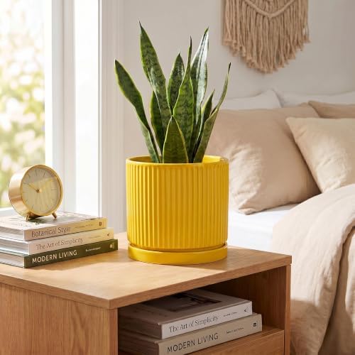 6 Inch Pots for Plants, Ceramic Planters with Saucer, Yellow - Image 4