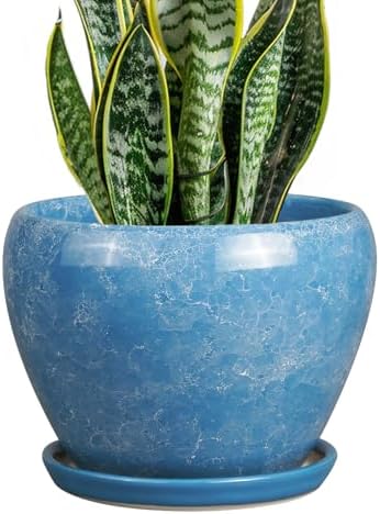 Ceramicfor Ceramic Planter, 8 Inch Plant Pot, Blue by Ceramicfor