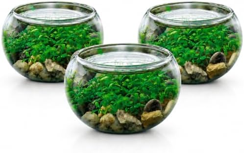 Mini WaterPlants - Create Your Own Soothing Aquasacape Starter Kit, Indoor Plant Glass Globe Terrariums with Complete Supplies, Just Add Water, 3-Pack by UniqueGardener