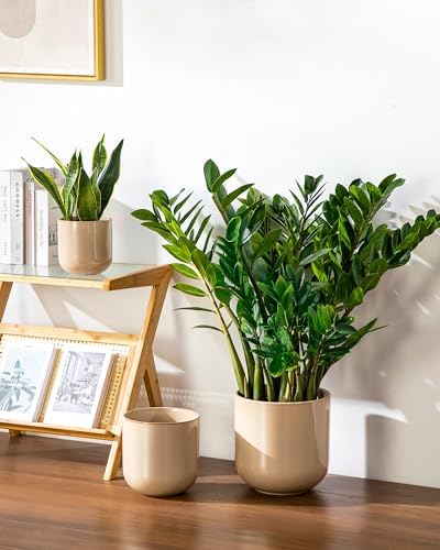 vancasso 6+8+10 inches Ceramic Plant Pots, Set of 3, Planters with Drainage Hole, Flower Pots Planters Pots for Indoor Plants, Modern Indoor Decorative Garden Pot, Home Decor, Brown - Image 6