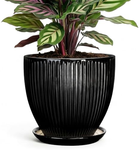 6 Inch Ceramic Planter, Indoor Plant Pots for Small Plants, Decorative Flower Pots with Drainage Hole and Saucer, Round Pot for Plants, Office Bathroom Decor, Gifts for Plant Lovers, Black by Unknown