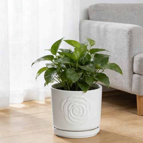Ekirlin 7 Inch Plant Pot for Indoor Plants, Modern Ceramic Glaze Planters, Round Planter Pot with Drainage Hole and Saucer, Pothos Flower Pots for Succulent, Orchid, Snake Plant,Gift for Plant, White - Image 7