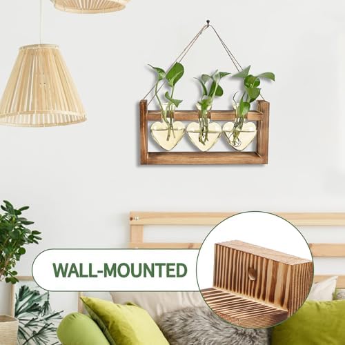 Plant Terrarium Propagation Stations Hydroponics - Image 3