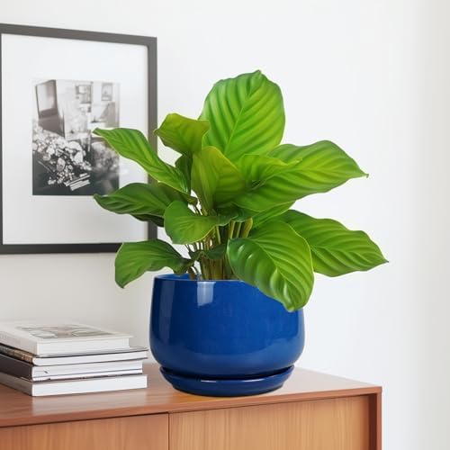 G EPGardening Round Ceramic Plant Pots, 7 Inch Modern Planter, Blue - Image 5