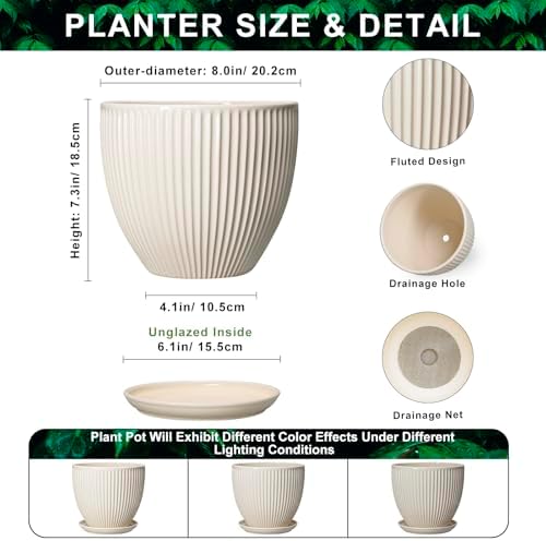 Ceramic Flower Pots, 8 Inch Plant Pot with Drainage Hole and Saucer, Modern Planters for Indoor Plants, Round Indoor Pots for Plants, Office Home Decor, Plant Lover Gifts, Cream White - Image 2