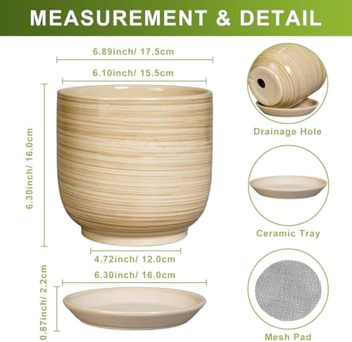 Ceramic Planter for Indoor Plants 7 Inch - Cylinder Modern Indoor Plant Pot with Drainage Hole and Saucer, Home Patio Office Bathroom Decor, Yellow - Image 3