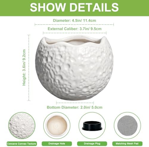 4 Inch Plant Pots - Ceramic Pots for Plants with Drainage Hole, Small Planter for Indoor Outdoor, Unique Succulent Pot, Decorative Modern Round Planter, Desk Decor, Plant Lover Gifts, White - Image 2