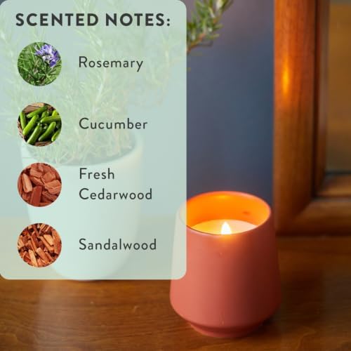 Modern Sprout Soy Candle Planter - Grows Rosemary - Cucumber Scent - 6oz - Image 6