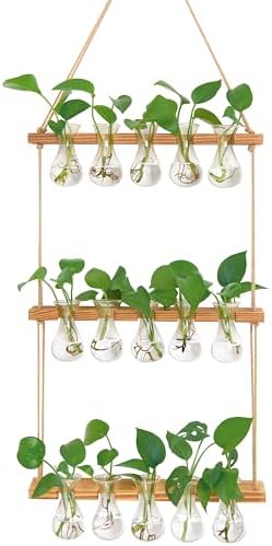 XXXFLOWER Wall Hanging Propagation Station 5 Bulb Vase 3 Tiers by XXXFLOWER