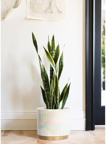 Gepege White Indoor Plant Pots for Plants, Large Ceramic Planter with Drainage Hole, 9.6-inch Succulent Orchid Flower Pot - Rainbow Pearl Glaze - Image 6