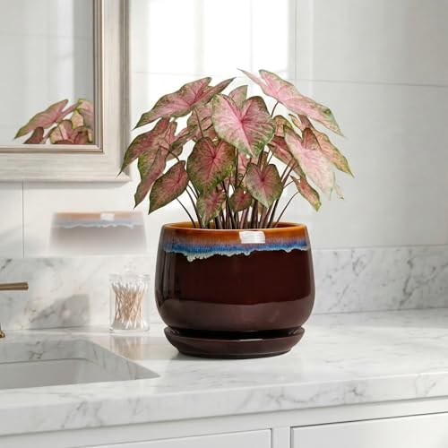 Ceramic Planter, 7 Inch Plant Pots with Drainage, Brown-Blue - Image 6
