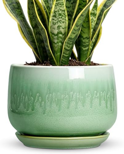 9 Inch Plant Pot - Ceramic Planter with Drainage Hole and Saucer, Decorative Ceramic Pots for Indoor Plants, Round Durable Flower Pot, Office House Patio Decor, Gifts for Plant Lovers, Green by Fivepot
