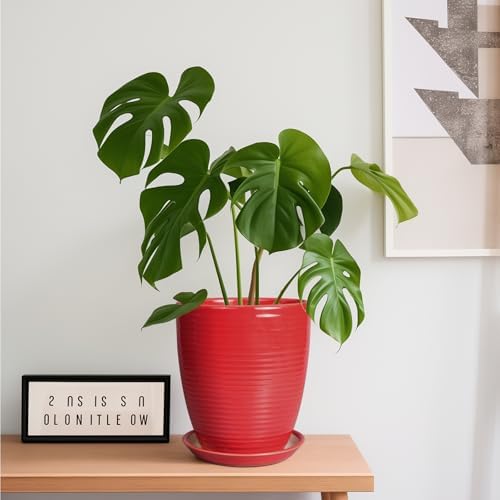 Ceramic Pot for Plants - 8 Inch Plant Pot for Indoor Plants Outdoor Round Planter Modern Flower Pot with Drainage Hole and Saucer Home Garden Office Porch Decor Red - Image 2
