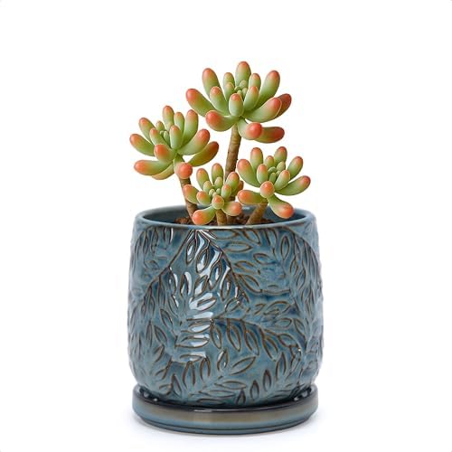 D'vine Dev Embossed Leaves Ceramic Planter, 4 in, Ocean Teal, 27-A-Z-8 by DvineDevPlanterPotsandStand