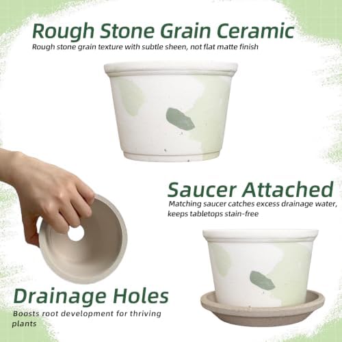 3.3 Inch Small Ceramic Planter Pot with Drainage Hole and Saucer, Artistic Spotted Flower Pot for Indoor Succulent Plants, Home Office Desk Decor(White&Green) - Image 3
