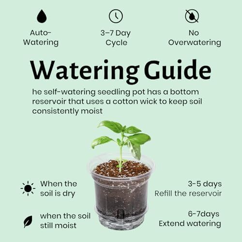 Bluepro Self Watering Pots for Indoor Plants, 6.5 Inch, 12-Pack - Image 6