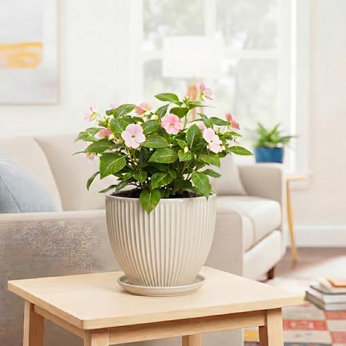 Ceramic Flower Pots, 8 Inch Plant Pot with Drainage Hole and Saucer, Modern Planters for Indoor Plants, Round Indoor Pots for Plants, Office Home Decor, Plant Lover Gifts, Cream White - Image 6