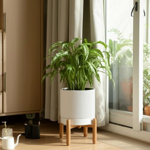 HERDUK 8 Inch Ceramic Planter with Natural Wood Stand w/Drainage & Saucer - Modern Indoor Planter for Cacti, Snake Plants & Aloe Vera - Image 7