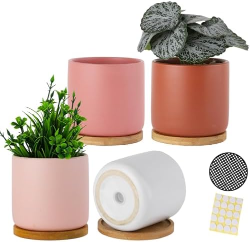 4" Ceramic Plant Pots with Drainage Holes & Trays Multicolor Set of 4 by BABALIU