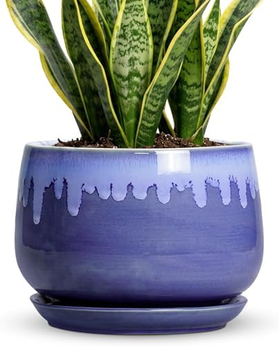Ceramic Planter for Plants- 9 Inch Plant Pots Indoor with Drainage and Saucer, Decorative Planters, Durable Round Indoor Flower Pot, Garden Room Decor, Plant Gifts for Women Men, Blue by Fivepot
