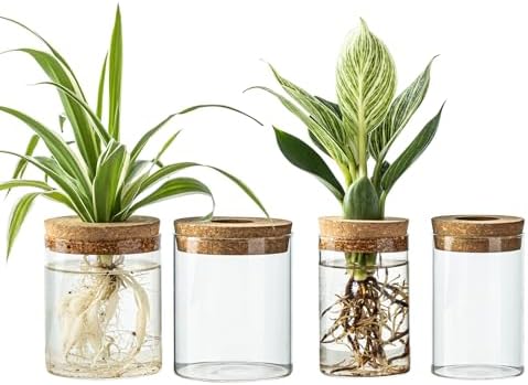 Glass Propagation Stations for Plants -Desktop Flower Vases,Propagation Flower Vases Set – 2 Large & 2 Small for Plant Cuttings，for Living Room, Bedroom Decoration,Home,Office Decor (4) by CHPINDAM
