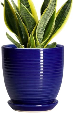 Ceramic Plant Pot - 6 Inch Pots for Plants, Round Ceramic Planters with Drainage Hole and Saucer, Decorative Flower Pots for Indoor Plants, Room Desk Decor, Housewarming Gifts, Glossy Blue by EPFamily