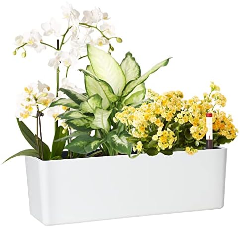 Elongated Self Watering Planter Pots Window Box 5.5 x 16 inch Indoor Home Garden Modern Decorative Planter Pot for All House Plants Flowers Herbs (White,1-Pack) by GardenBasix