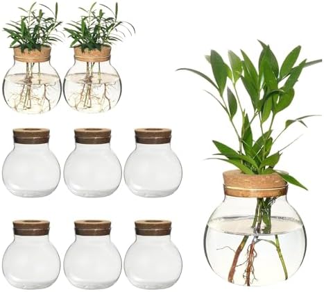 Plant Propagation Station,Hydroponic Terrarium Vase,Desktop Glass Planter Station,for Houses,Garden Decorations,ropagating Hydroponic Plants,Centerpiece Office,Home Garden Decor (9) by wangsdjy