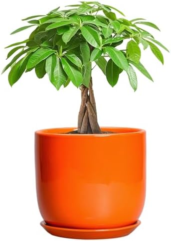 7 Inch Plant Pot - Ceramic Planter with Drainage Hole and Saucer, Modern Round Ceramic Flower Pot for Indoor Outdoor Plants, Plant Lover Gifts, Home Garden Office Decor, Orange by SUNPOTFOR