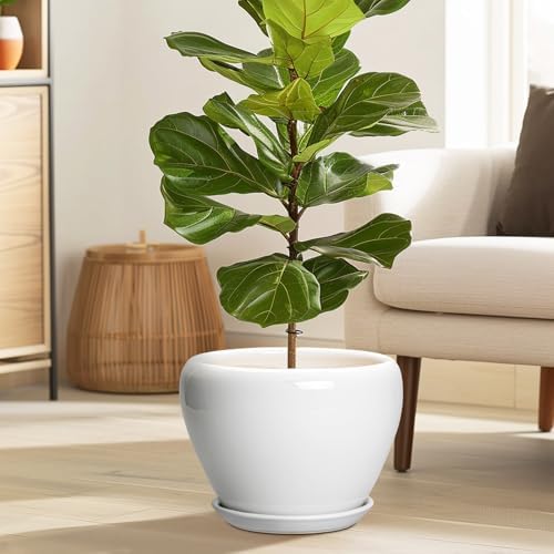 Ceramicfor Ceramic Pot for Plants - 10 Inch Planter with Drainage Hole and Saucer, Glaze Modern Round Flower Pot for Indoor Plants, Housewarming Gift, Home Decor, White - Image 2